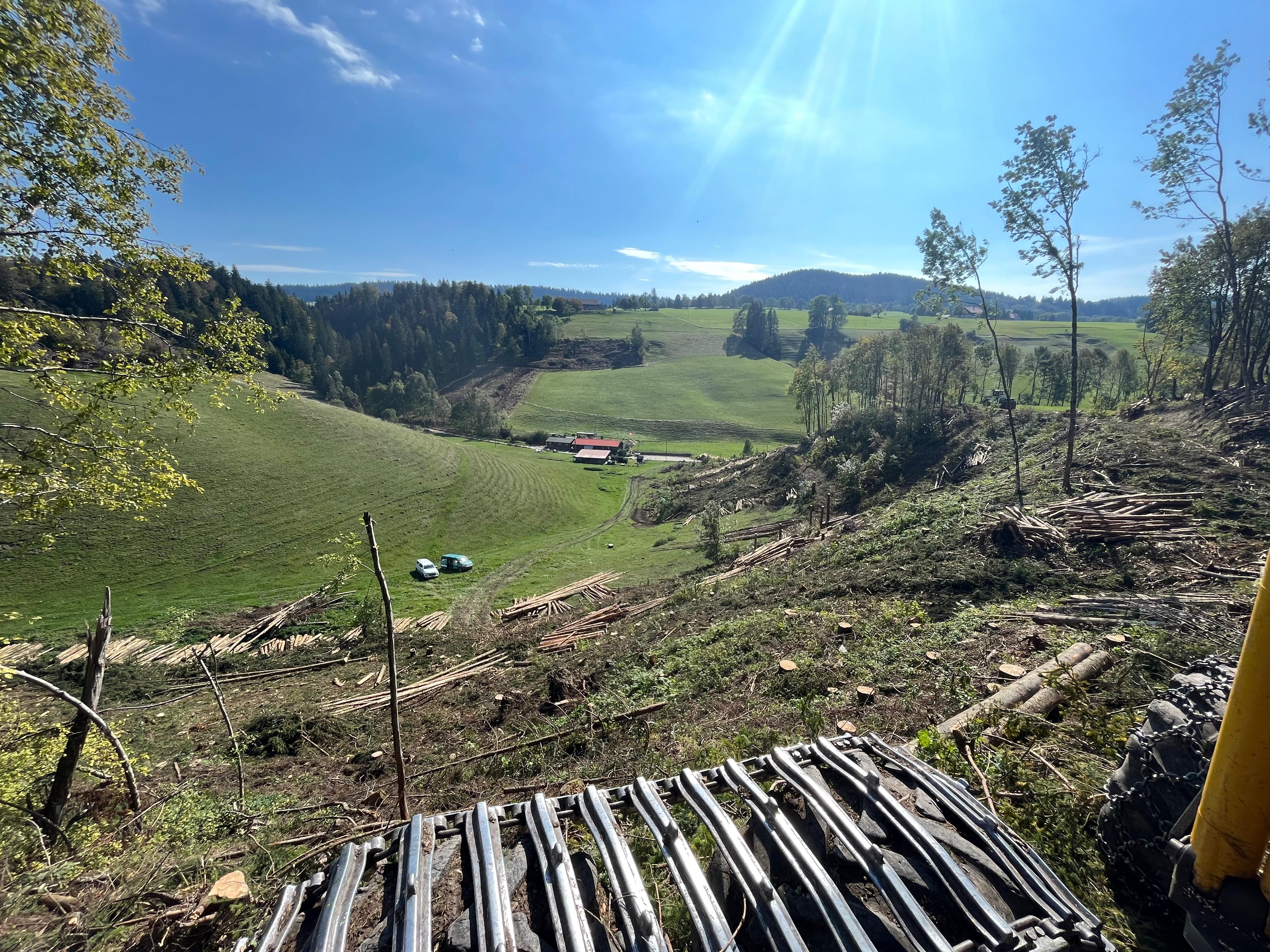 Défrichement et déboisement dans le Jura — SAS POLYVIER